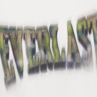 Everlast® Hide and seek tee T-shirt White